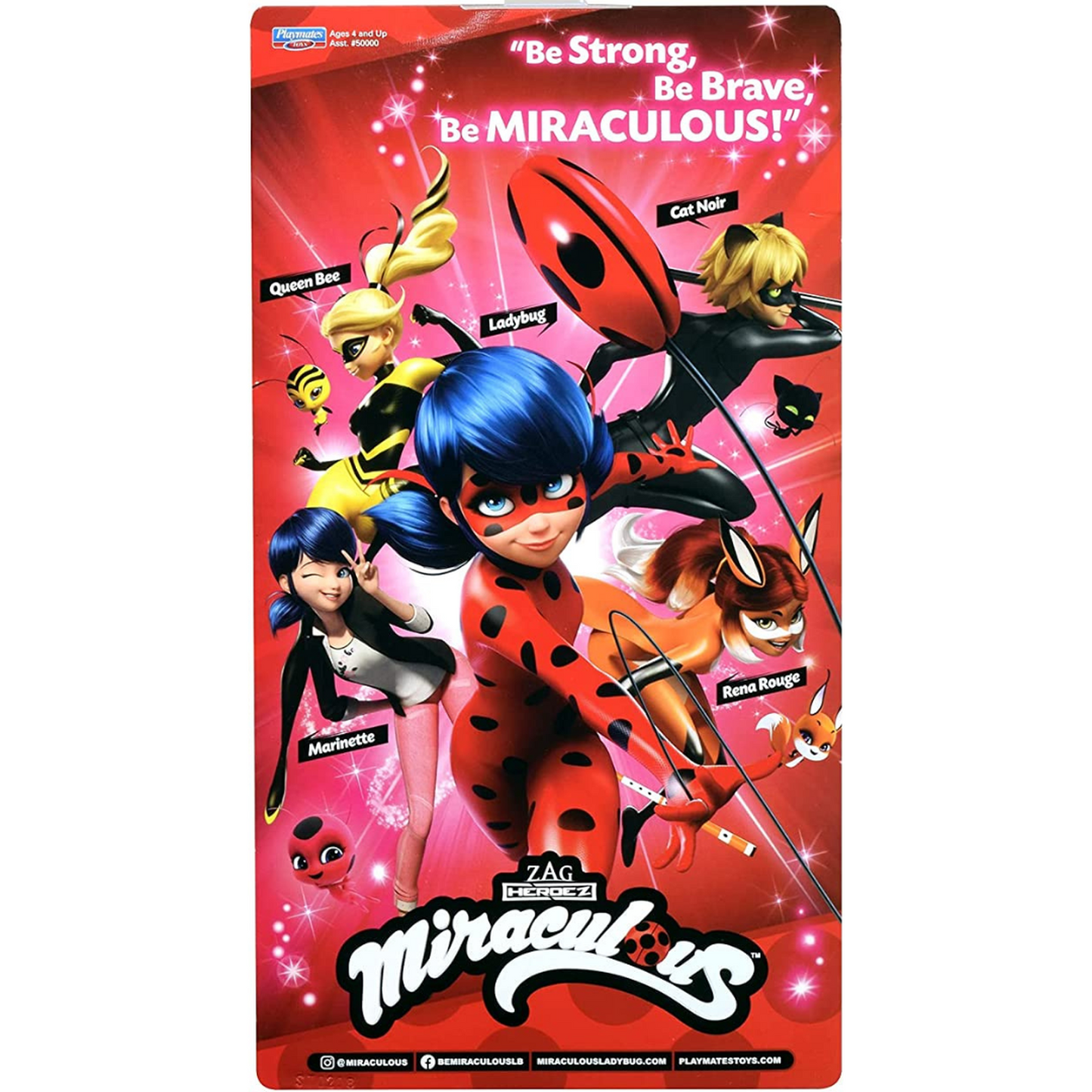 Miraculous Cat Noir